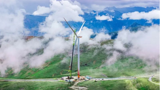 1721885479729257.png 6ce26866113e5e61e5841209cad8067.png